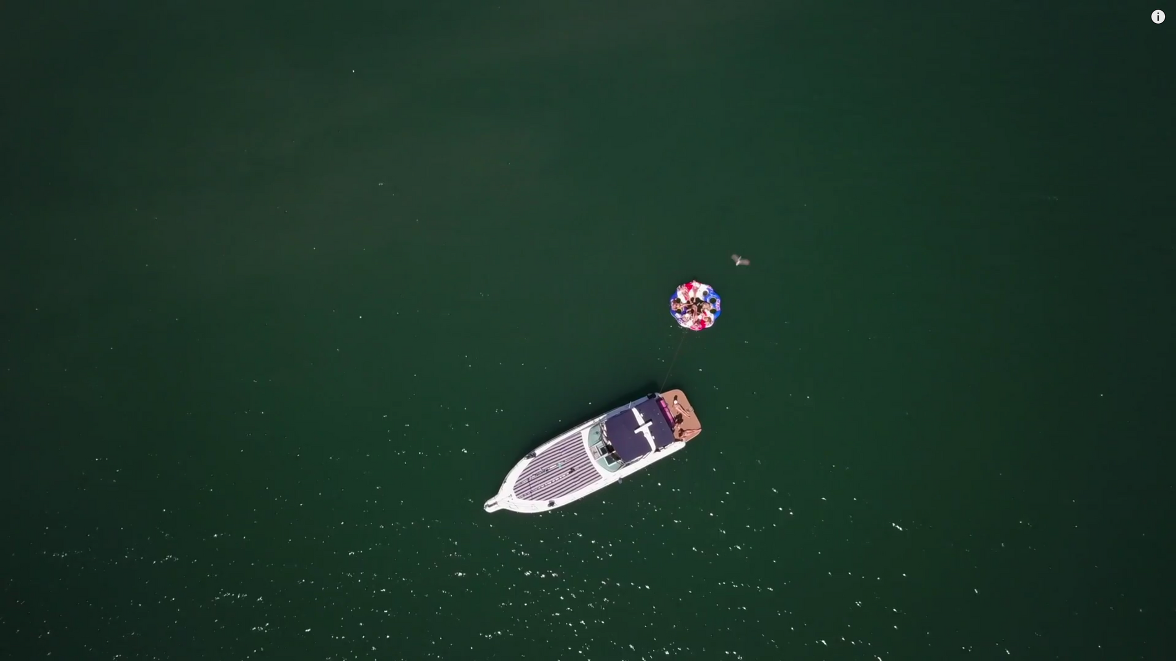 REAL ESTATE / BOATS